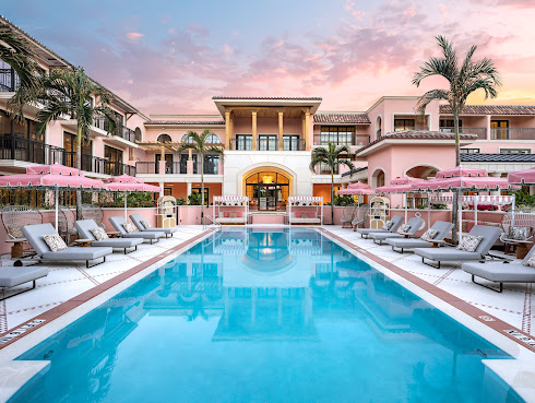 Palm House by null