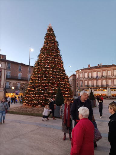 Salaün Holidays Albi - Thumbnail