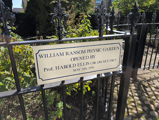 Hitchin Physic Garden - Thumbnail