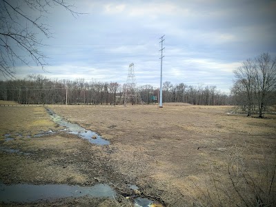 Central Valley Wetlands