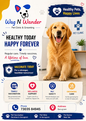 Wag N Wander focuses on providing convenient veterinary support and pet care services to help pet…