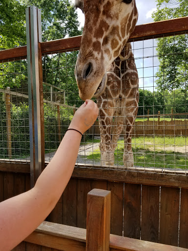 Living Treasures "Wild" Animal Park Gallery - United States