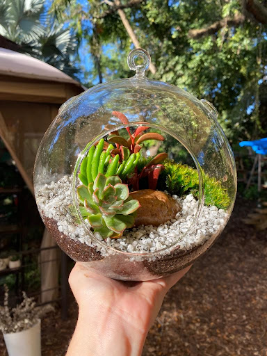 Florida Flora - Visual