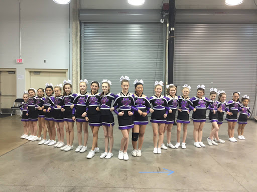 Puma Cheer - Visual