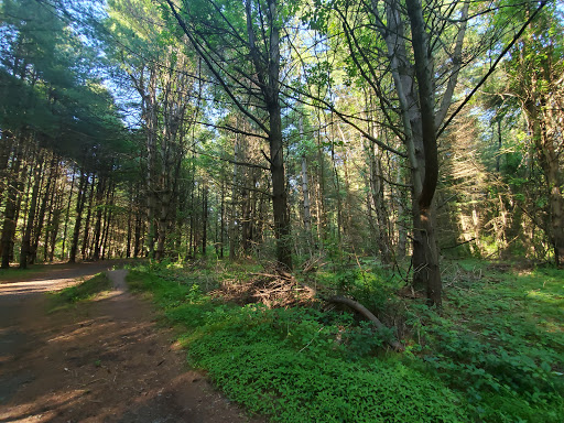 McDade Trail - Thumbnail