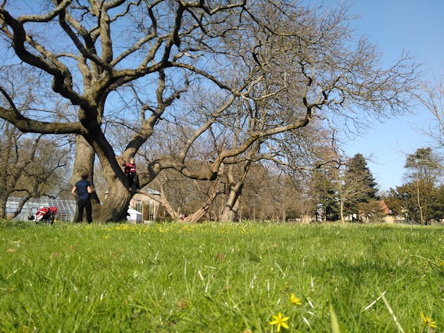 Jardin botanique de Lund