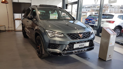 Seat Feser Biemann - Thumbnail