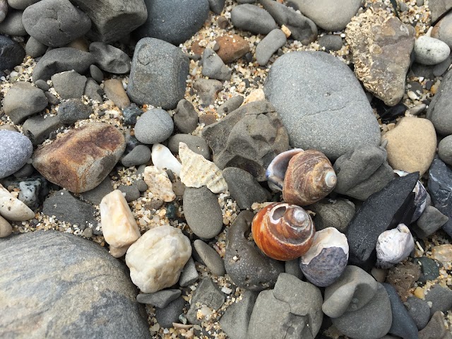 Fitzgerald J V Marine Reserve