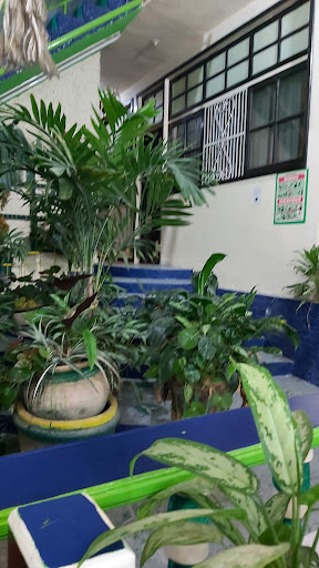 hotel monte libano