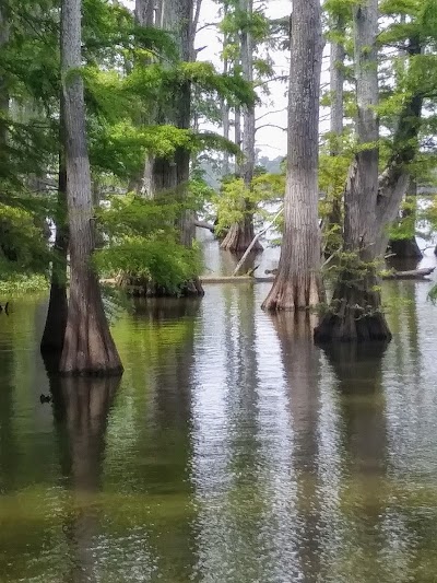 Horseshoe Lake