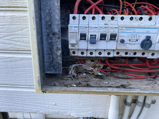 Monster Electrical - Visual