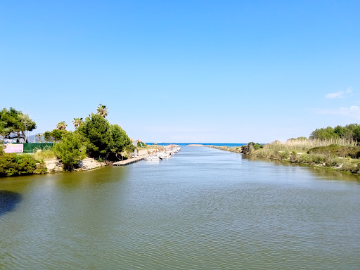 Parc Natural de s'Albufera de Mallorca - Thumbnail