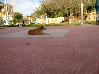 Photos of Parque Dos Villas