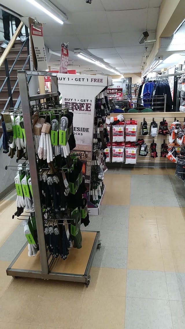 Modell's Sporting Goods