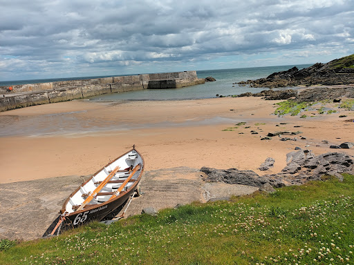 Collieston harbour
