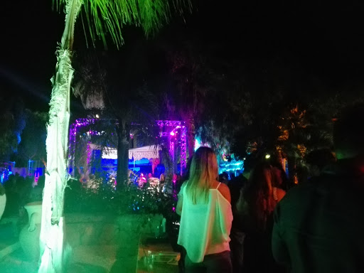VenusDiscoteca - Visual