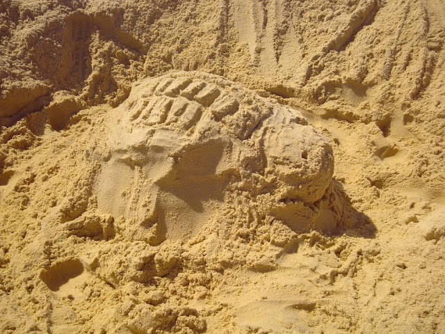 Plage Du Truc Vert