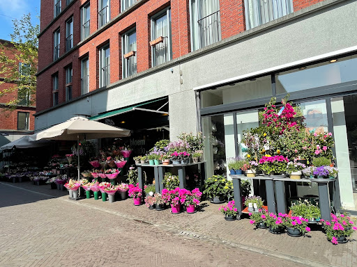 Bloem & Kado Ypenburg