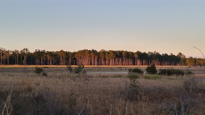 Photos of Mike Roess Gold Head Branch State Park