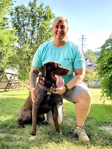 Sadie's Rules K9 Training - Thumbnail