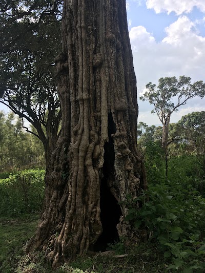Photos of Mount Kipipiri