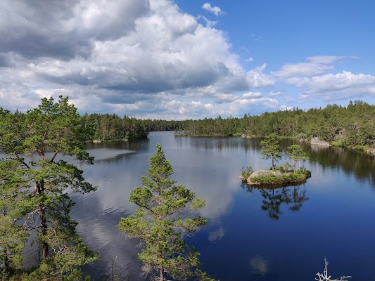 Tyresta nationalpark