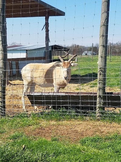 Promised Land Zoo