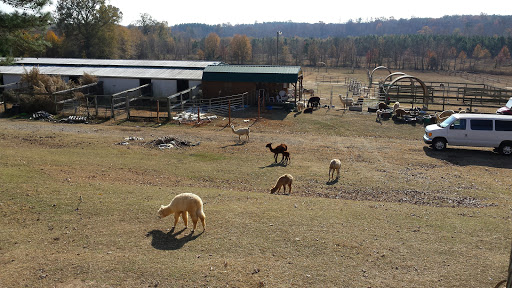 Lazy K Ranch - Thumbnail