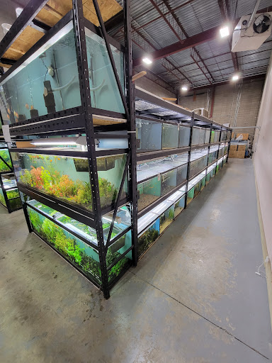 Aquarium Central - Thumbnail