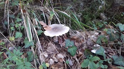 Photos of Kalktuffquelle