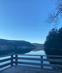 Photo n°107 de La Clairiere à Xonrupt-Longemer (Pub)