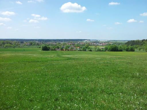 Dillberg - Visual