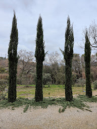 Photo n°1 de Les Jardins D’T à Lorgues (Paysagiste)