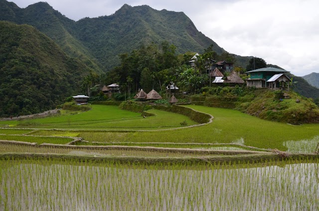 Batad Rice Terraces