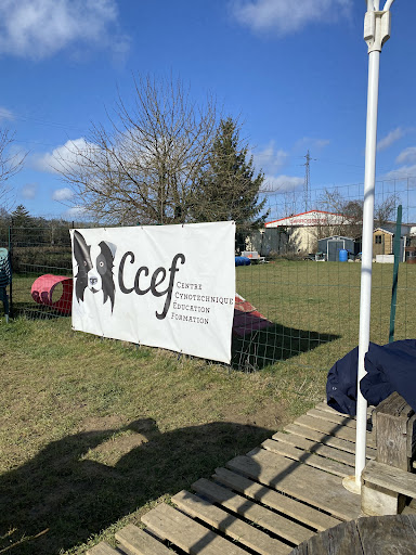 Club canin Team Dog - Thumbnail