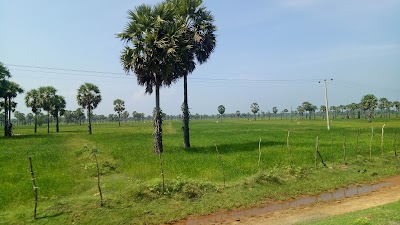 Photos of Mullaitivu Beach
