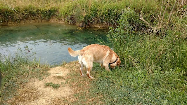 Le Vene Parco Fluviale Alta Val D'Elsa