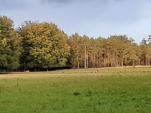 't Eultje - Visual