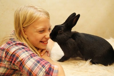 Photos of Star Clinic veterinarians West-Friesland