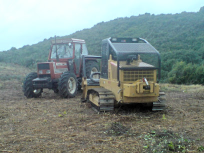 Entrepreneur forestier Noel Pais