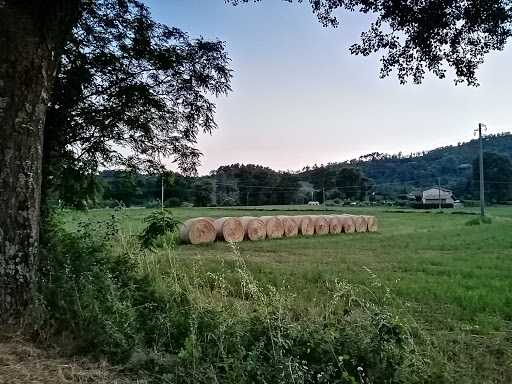 La Ruzza - Visual