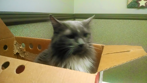 Cimarron Animal Hospital - Thumbnail