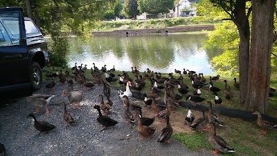 Photos of Clearfield Riverwalk