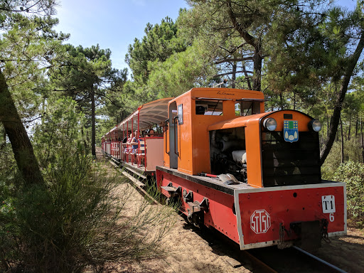 Gare de Maumusson - Thumbnail