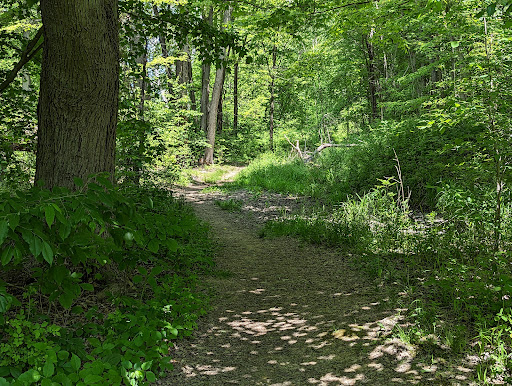 Lampson Reservoir Park - Thumbnail