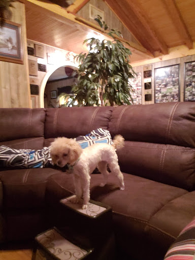 Family Pet Animal Hospital - Thumbnail