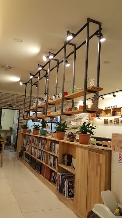 Photos of Coffee Bean Tree 200.25