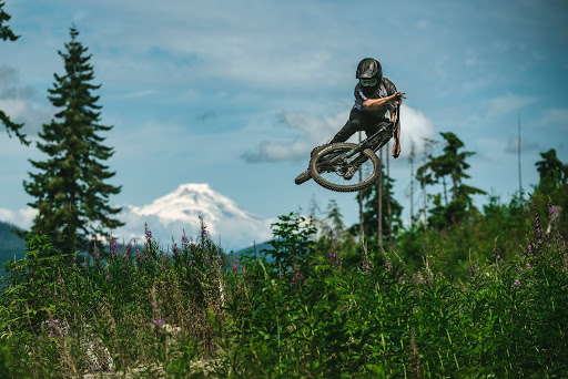 Trailtoys - Visual