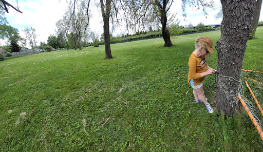 Leiwig Park - Thumbnail