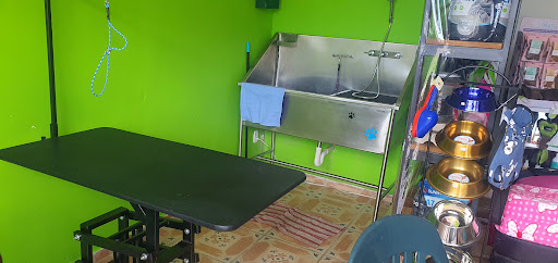 Dog Shop Estética Canina y Accesorios - Thumbnail